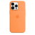 Silicone Case Original With MagSafe and Splash Screen Apple iPhone 13 Pro Max