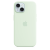 Silicone Case Original With MagSafe and Splash Apple iPhone 15