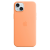 Silicone Case Original With MagSafe and Splash Apple iPhone 15