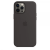 Чохол Silicone Case Original Apple iPhone 12 Pro Max (MagSafe)