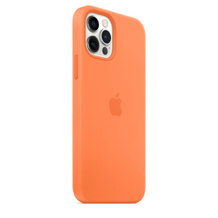 Чохол Silicone Case Original Apple iPhone 12 / 12 Pro (MagSafe)